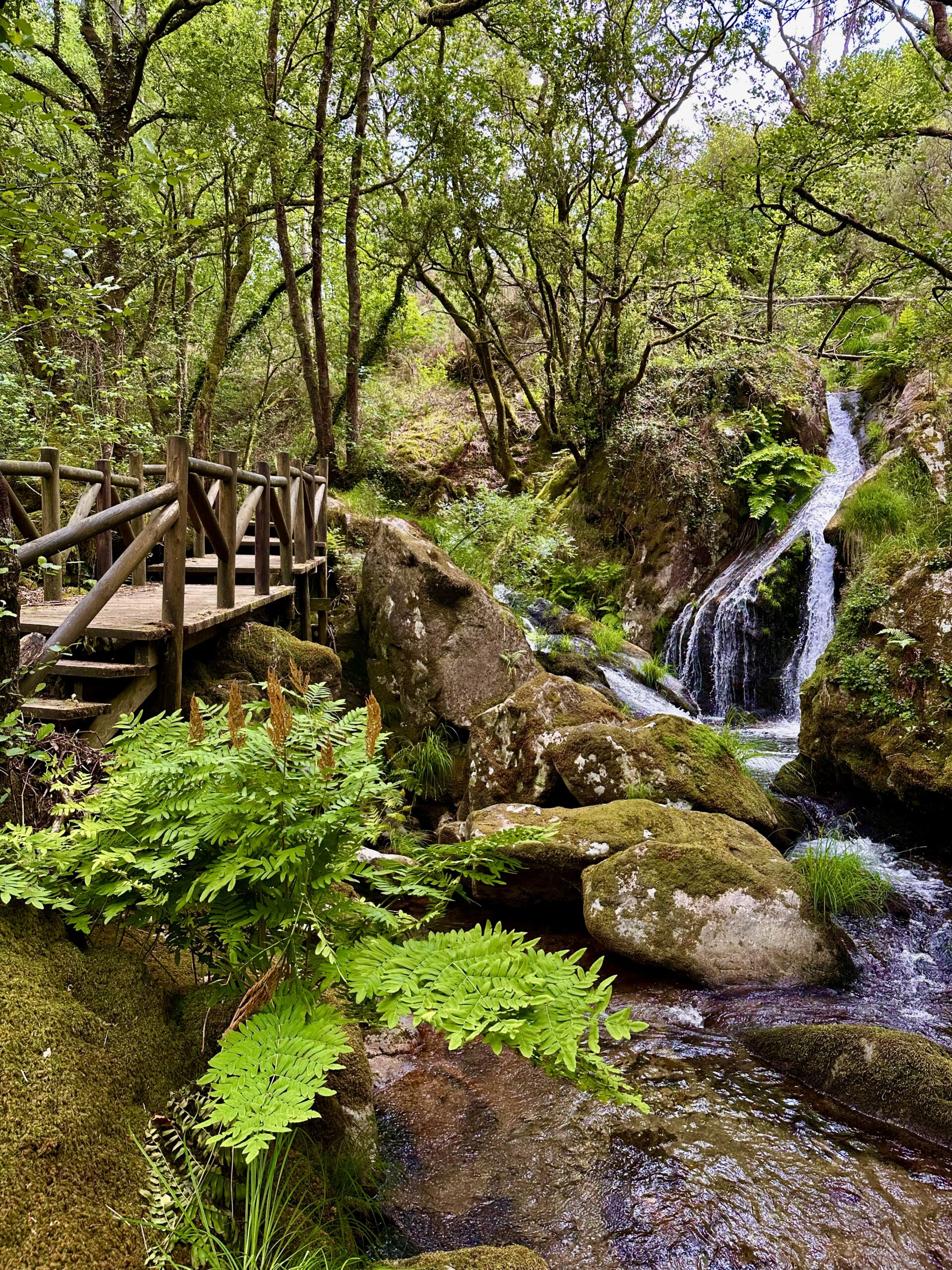 fervenza de raxoi y molinos de parafita