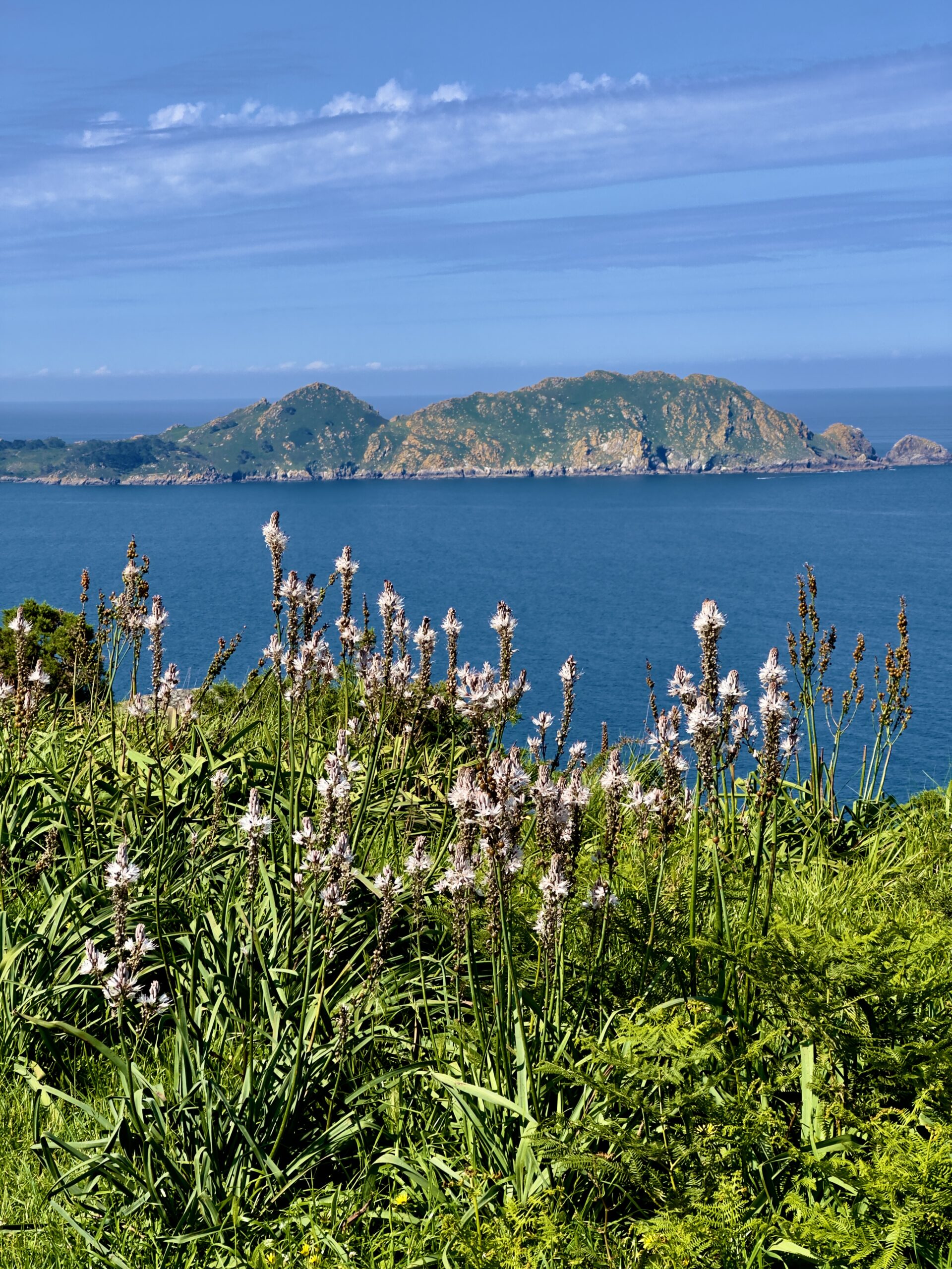 monte do facho